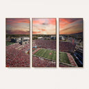 Indiana Memorial Stadium Wall Art Canvas Print, Framed
