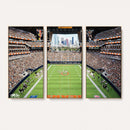 Chicago Bears Soldiers Field Wall Art Canvas Print – Framed