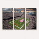 Chicago Bears Soldiers Field Wall Art Canvas Print – Framed