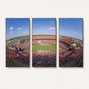 William Brice Stadium Wall Art Canvas Print – Stadium Crowd