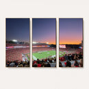 Dooley Stadium Wall Art, Sports Arena Canvas Print, Dooley