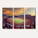 Dooley Stadium Wall Art, Sports Arena Canvas Print, Dooley