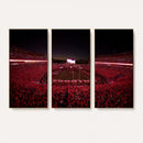 Sanford Stadium Wall Art Canvas Print – Georgia Bulldogs