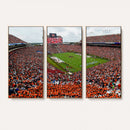 Auburn Stadium Wall Art Canvas Print, Jordan Hare Stadium