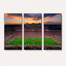Oklahoma Sooners Stadium Wall Art Canvas Print, College