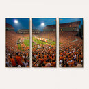 Clemson Tigers Memorial Stadium Wall Art Canvas Print