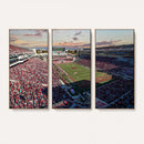 Ole Miss Rebels Vaught Hemingway Stadium Wall Art Canvas