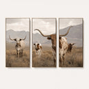 Rustic Texas Longhorn Cow Canvas Wall Art Print, Rustic Farm Animal Photography Print, Farmhouse Country Decor, Western Ranch Art