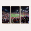 Washington-Grizzly Stadium Canvas Print, American Football