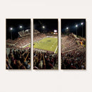 Washington-Grizzly Stadium Canvas Wall Art – Exciting Game