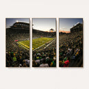 Oregon Stadium Canvas Wall Art - Captivating Game Day Scene
