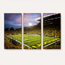 University of Oregon Ducks Football Team Print - Eugene
