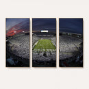 Penn State University Nittany Lions Football Team Print -