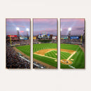 Chicago White Sox Baseball Team Print Canvas- Guaranteed