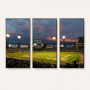 Chicago White Sox Baseball Team Print Canvas- Guaranteed