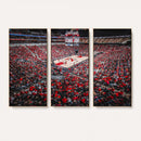 Louisville Cardinals Basketball Print Canvas - Louisville