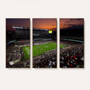 Texas A&M University Aggies Football Team Print - College