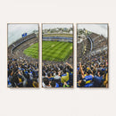 Boca Juniors Soccer Team Print Wall Art - Buenos Aires