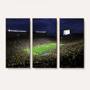 Michigan Wolverines Football Canvas Wall Decor, Football