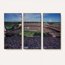 South Carolina Gamecocks Football Team Print - Columbia
