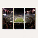 Eagles Field Stadium Wall Art - Philadelphia Eagles Football