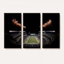 Eagles Field Stadium Wall Art | Philadelphia Eagles Football