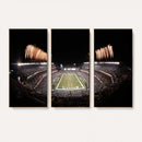 Eagles Field Stadium Wall Art - Lincoln Financial Field
