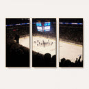 Canada Life Centre Wall Art | Winnipeg Jets Hockey Team