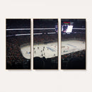 Honda Center California Anaheim Ducks Hockey Stadium Wall