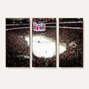 PNC Arena Raleigh North Carolina Hurricanes Hockey Stadium