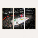 Vaudoise Lausanne Ice Hockey Arena Stadium Wall Art Canvas,
