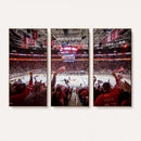 Carolina Hurricanes Ice Hockey Stadium Wall Art, Carolina
