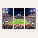 NC State Wolfpack Canvas Print - Raleigh Carter-Finley