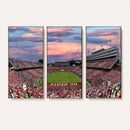 Carter-Finley Stadium Art Sunset Game Triple Canvas Wall Art