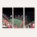 Houston Cougars Football Team Print - Houston TDECU Stadium