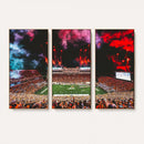 Virginia Tech Hokies Football Team Print - Blacksburg Lane