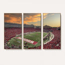 Camp Randall Stadium Wisconsin Badgers Large Wall Art Canvas