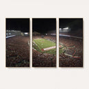 Wisconsin Badgers Football Team Print - Madison Camp Randall