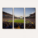 Pittsburgh Panthers Football Team Print - Pittsburgh