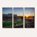 Demon Deacons Football Team Print Canvas- Winston-Salem