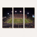Demon Deacons Print Canvas, Football Team Print -