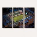 University of North Texas Mean Green Football Artwork,