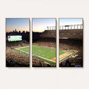 Darrell K Royal-Texas Memorial Stadium Canvas Wall Art -