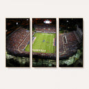Florida Atlantic University Owls Football Team Print - Boca