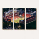 University of Illinois Fighting Illini Football Team Print -