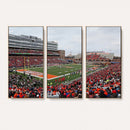 University of Illinois Fighting Illini Football Team Print -