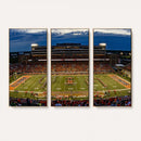 University of Illinois Fighting Illini Football Team Print -