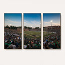 University of Charlotte 49ers Football Team Print -