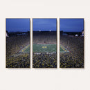 University of Michigan Wolverines Football Team Print - Ann