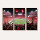 University of Nebraska Cornhuskers Football Team Print -